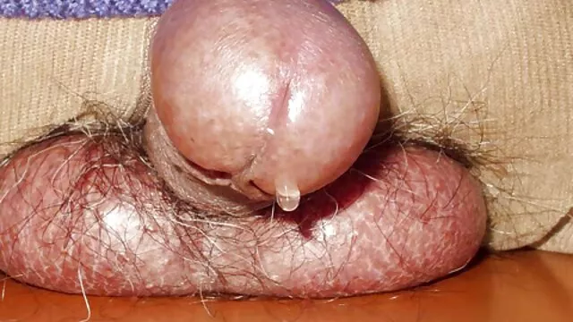 Miễn phí khiêu dâm, không giấy đăng ký  Gỗ mun quái tóc vàng vẻ đẹp trong miệng sec dit nhau cuc manh