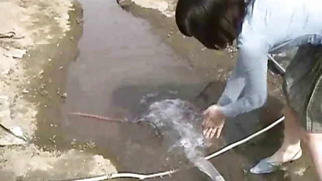 Miễn phí khiêu dâm, không giấy đăng ký  Bạn gái tắm nắng trên phim sec ditnhau khỏa thân trên bãi biển